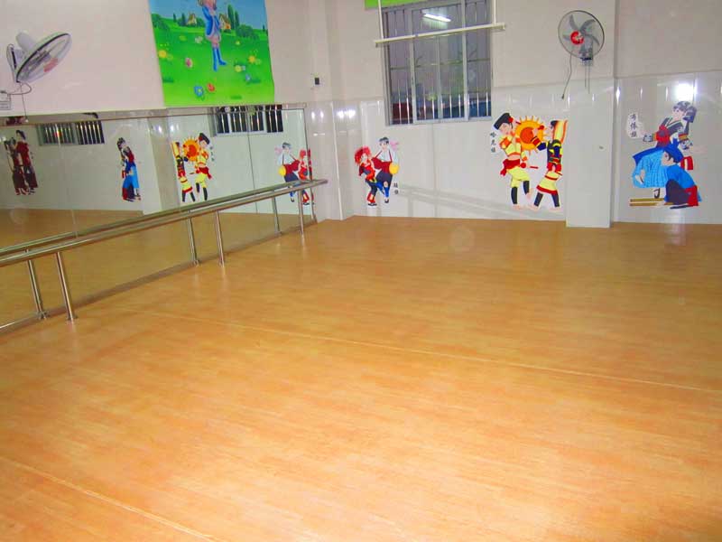 广州舞蹈教室pvc运动地板