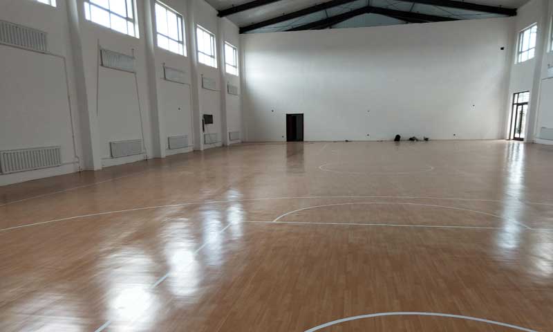 吉林省白城市镇赉县篮球场地板