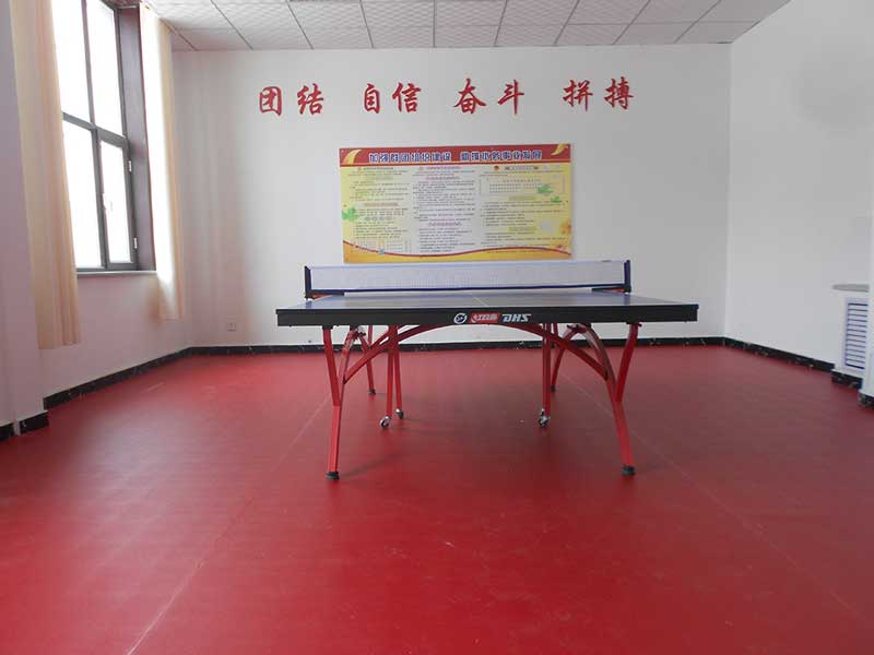 北京首钢技术研究院乒乓球地胶
