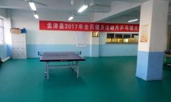 河南洛阳市孟津县体育总局乒乓球运动地胶